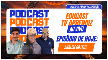 Notícia