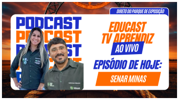 Notícia