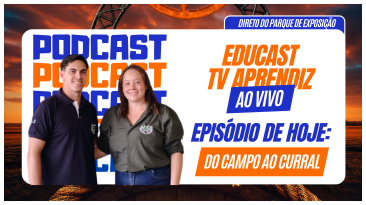 Notícia